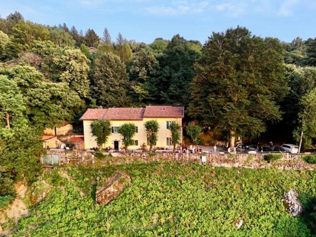 Ristorante Hotel Falchetto Brunate Eksteriør billede